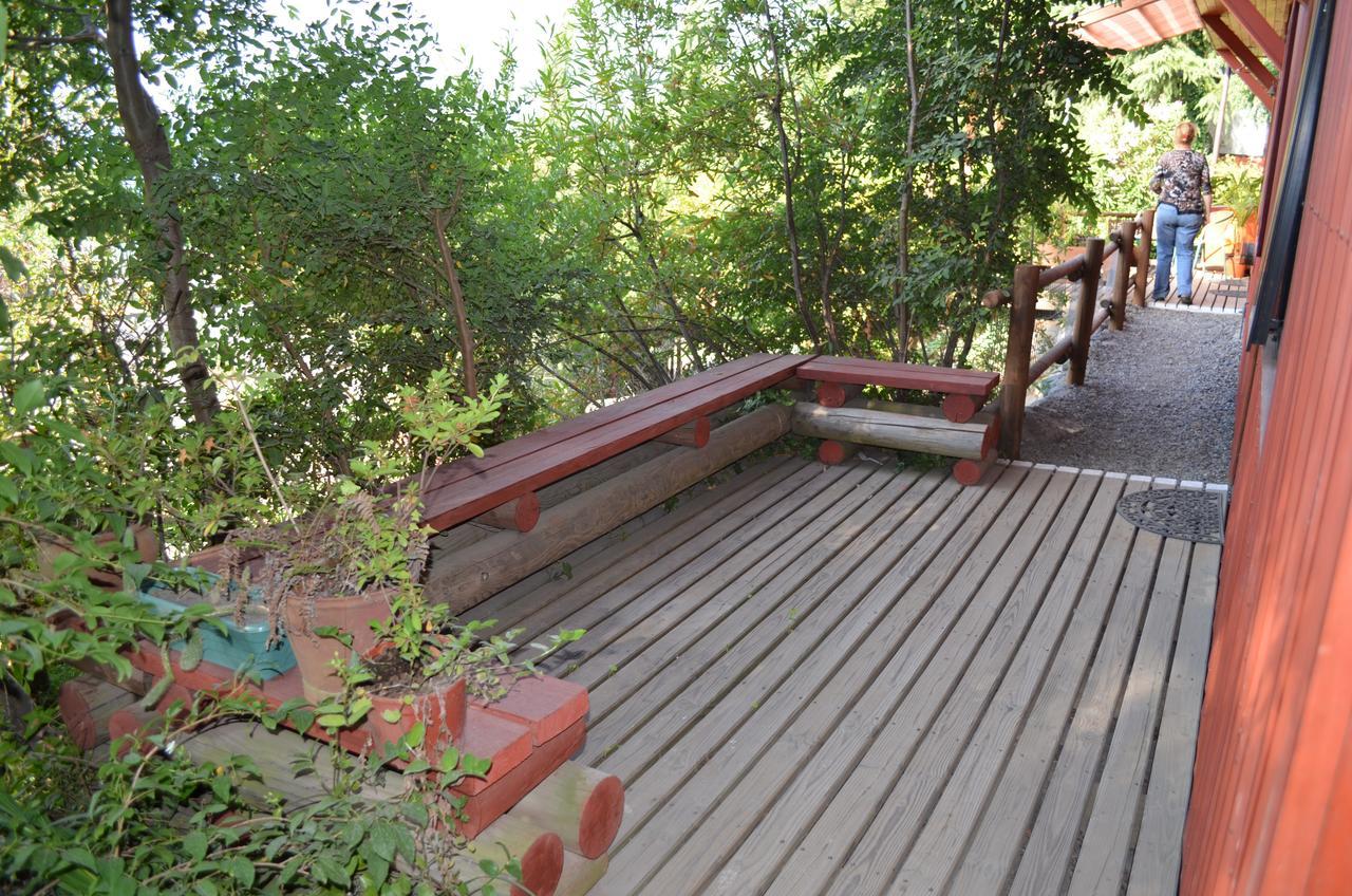 Los Gualles De La Candelaria Apart Hotel Pucon Luaran gambar